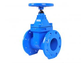Elastic valve seat 