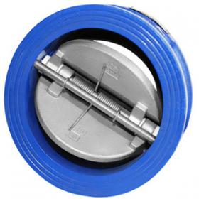Double disc check valve 